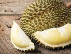 Lagi Musim Durian, Yuk Ketahui Manfaat Durian Untuk Kesehatan